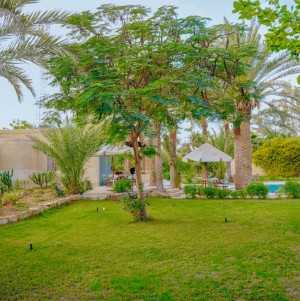 فيلا الديوان