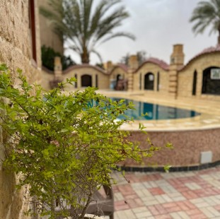 فيلا تونس